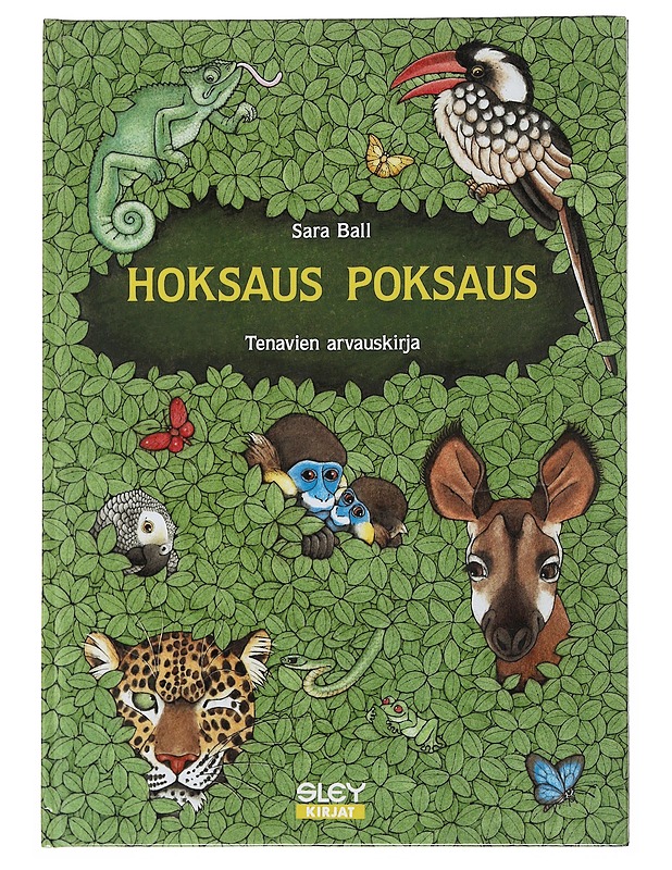 Hoksaus poksaus : Tenavien arvauskirja - Ball, Sara - Nuorten kirjat - 10105513157 - 0