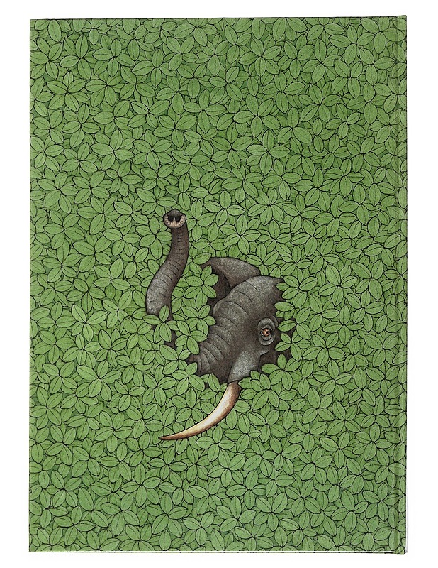 Hoksaus poksaus : Tenavien arvauskirja - Ball, Sara - Nuorten kirjat - 10105513157 - 1