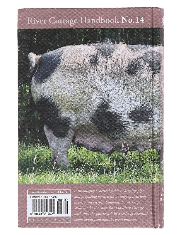 Pigs & Pork - Gill Meller - Ruokakirjat - 10105513274 - 1