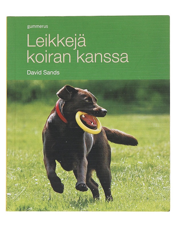 Leikkejä koiran kanssa - Sands, David - Lemmikki- ja luontokirjat - 10105513469 - 0