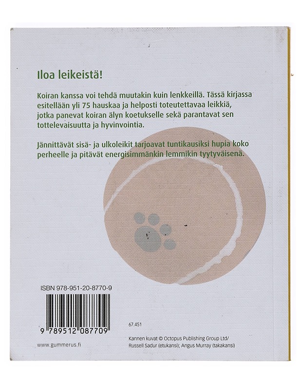 Leikkejä koiran kanssa - Sands, David - Lemmikki- ja luontokirjat - 10105513469 - 1