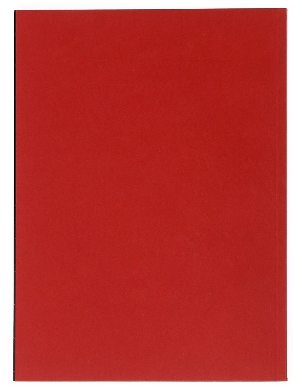 Helsinki Street of Food - Arto Koskelo  - Ruokakirjat - 10105513604 - 1