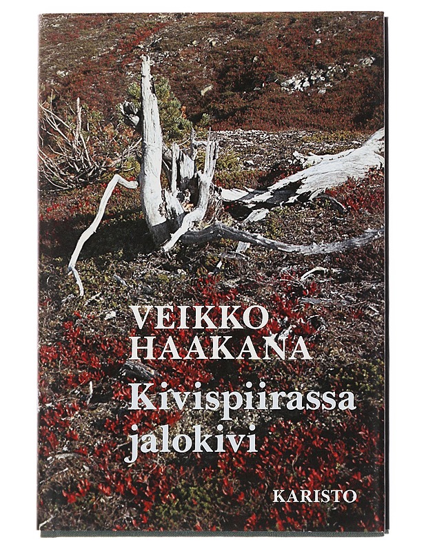 Kivispiirassa jalokivi - Haakana, Veikko - Romaanit ja novellit - 10105513744 - 0