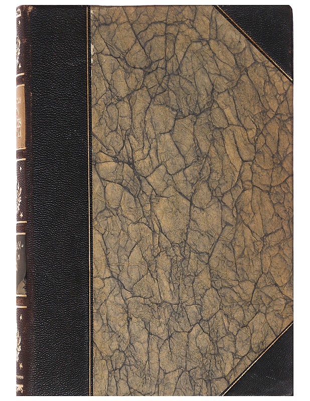 Suomen Valtio- ja yhteiskuntaelämää - J. R. Danielsson Kalmari - Historiakirjat - 10105513856 - 0