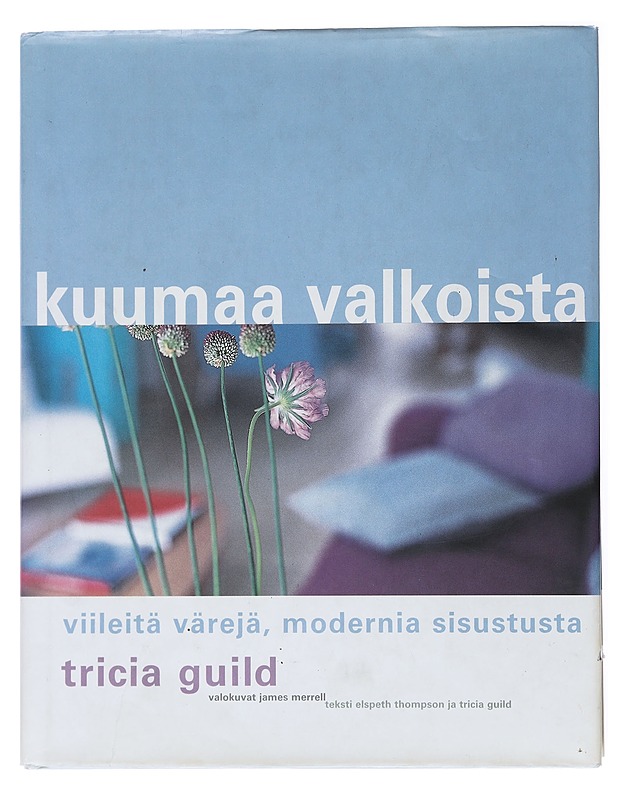 Kuumaa valkoista : viileitä värejä, modernia sisustusta - Guild, Tricia - Tietokirjat ja oppaat - 10105513946 - 0