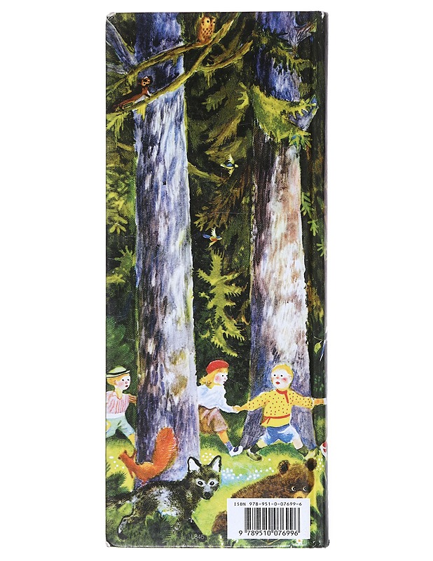 Hanhiemon satuaarre - Saarikoski, Tarja - Lastenkirjat - 10105513975 - 1