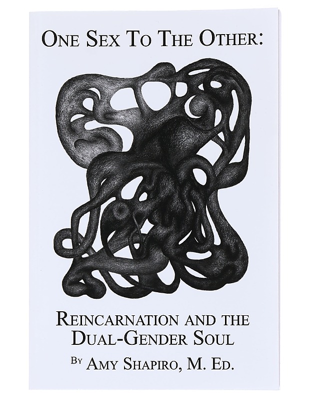 One Sex to the Other : Reincarnation and the Dual-Gender Soul - Shapiro , Amy  - Tietokirjat - 10105514007 - 0