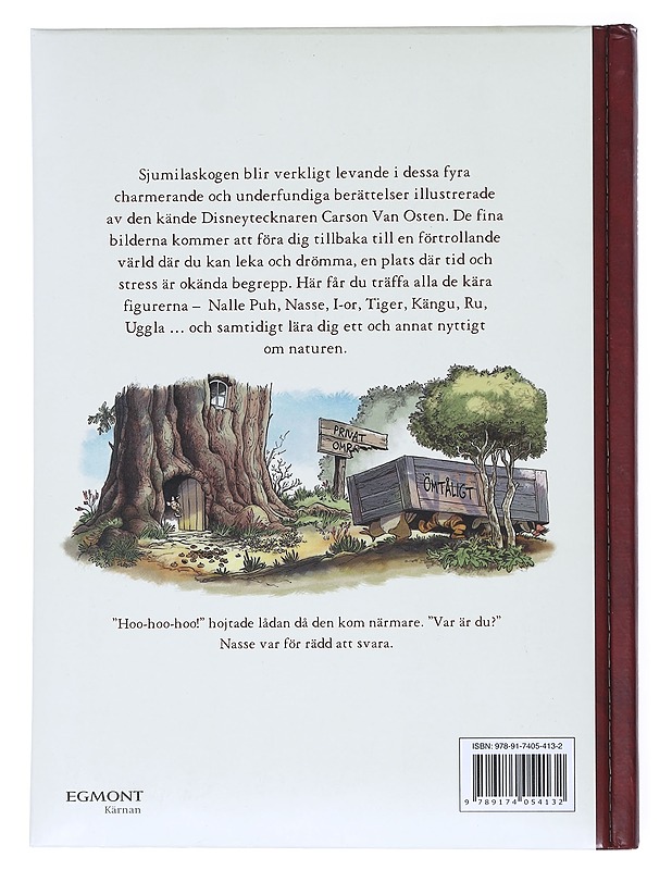 Boken om Sjumilaskogen : fyra berättelser - Hutta, K. Emily - Lastenkirjat - 10105514218 - 1