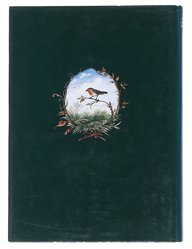 The secret garden - Frances Hodgson Burnett - Lastenkirjat - 10105514277 - 1