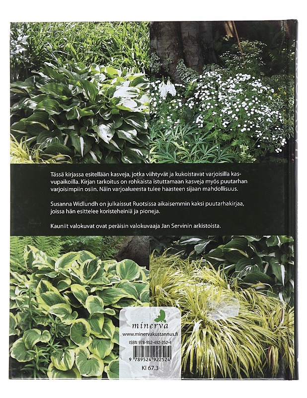Varjokasvit : runsautta ja hehkua puutarhaan - Widlundh, Susanna - Tietokirjat ja oppaat - 10105515047 - 1