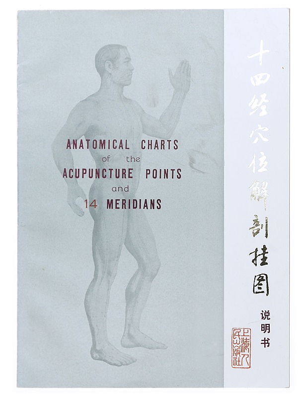 Anatomical Charts of the Acupuncture Points and 14 Meridians - Tietokirjat ja oppaat - 10105515117 - 0