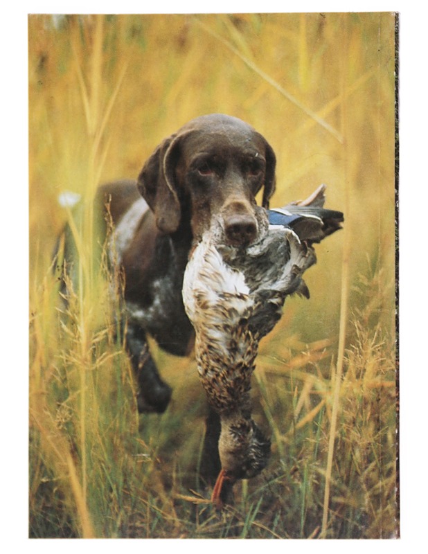 Metsästäjän Opas - Tietokirjat ja oppaat - 10105515340 - 1