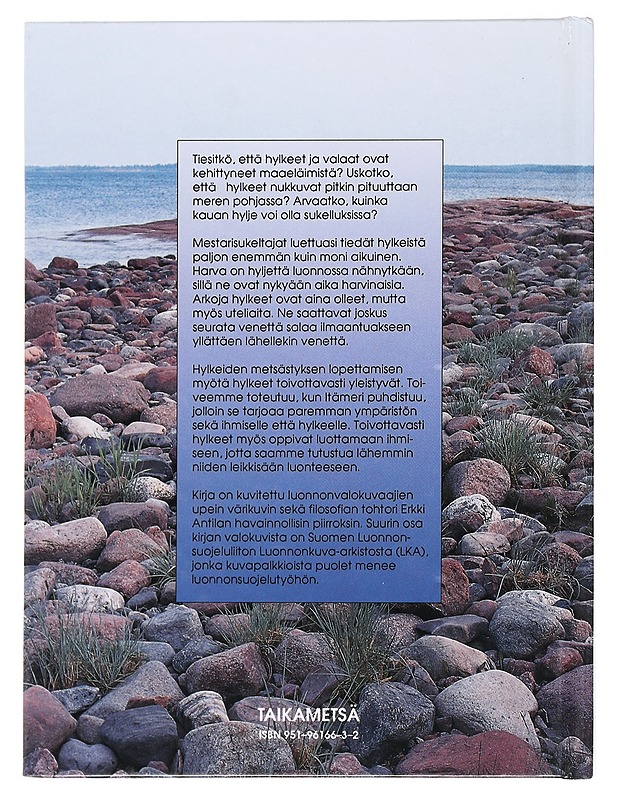 Mestarisukeltajat - Torkkomäki, Matti - Tietokirjat ja oppaat - 10105515386 - 1