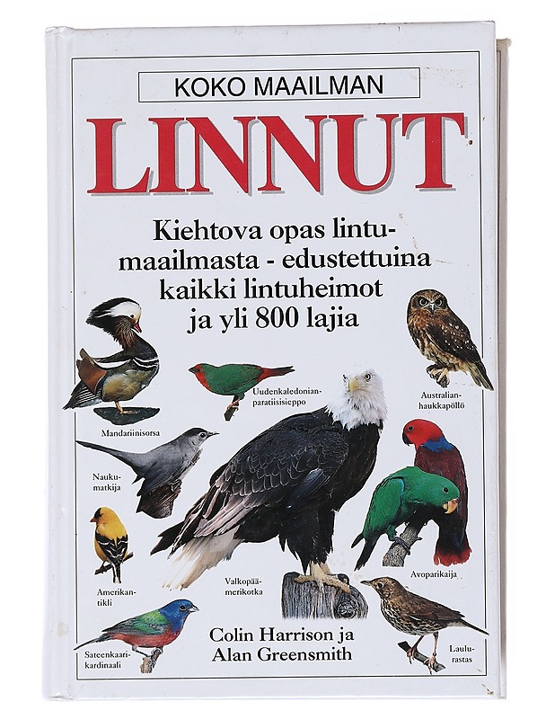 Koko Maailman: Linnut - Colin Harrison - Tietokirjat ja oppaat - 10105515481 - 0