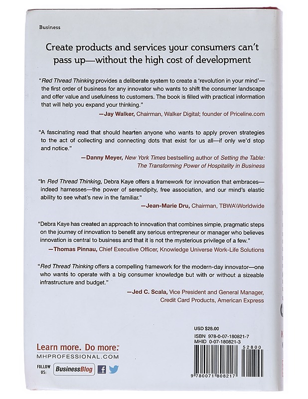 Red Thread Thinking: Weaving Together Connections for Brilliant Ideas and Profitable Innovation - Debra Kaye - Tietokirjat ja oppaat - 10105515992 - 1