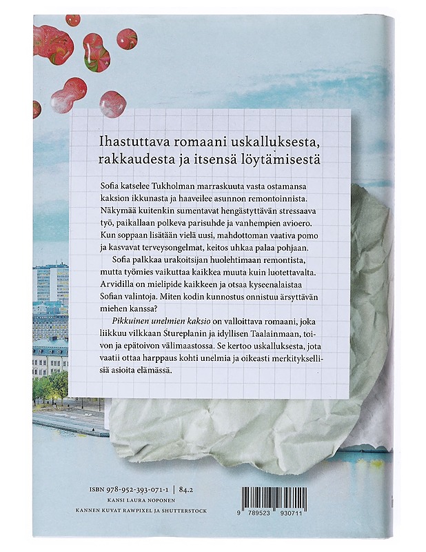 Pikkuinen unelmien kaksio - Davidsson, Camilla - Romaanit ja novellit - 10105516034 - 1