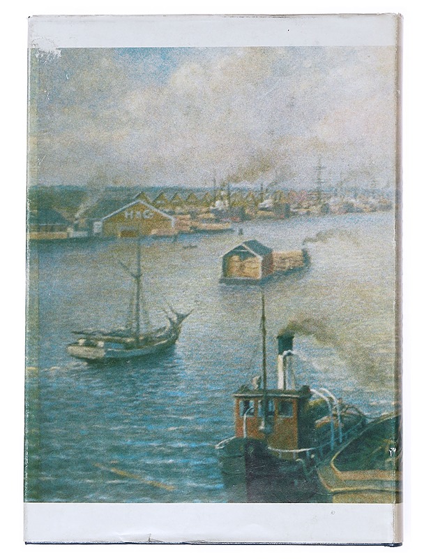 Ravansaari 2 - Ilmari Kippo - Historiakirjat - 10105516045 - 1