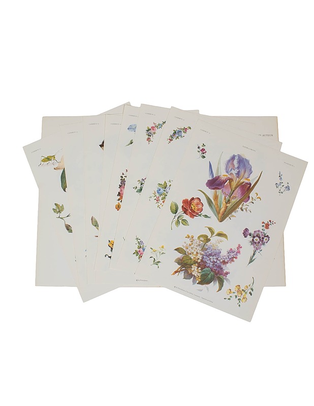 Posliinimaalausmalleja - Askartelu - 10105516369 - 1