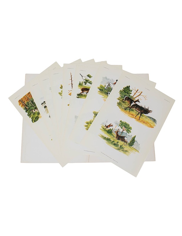 Posliinimaalausmalleja - Askartelu - 10105516372 - 1