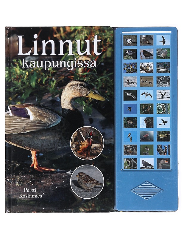 Linnut kaupungissa - Koskimies, Pertti - Tietokirjat ja oppaat - 10105516470 - 0