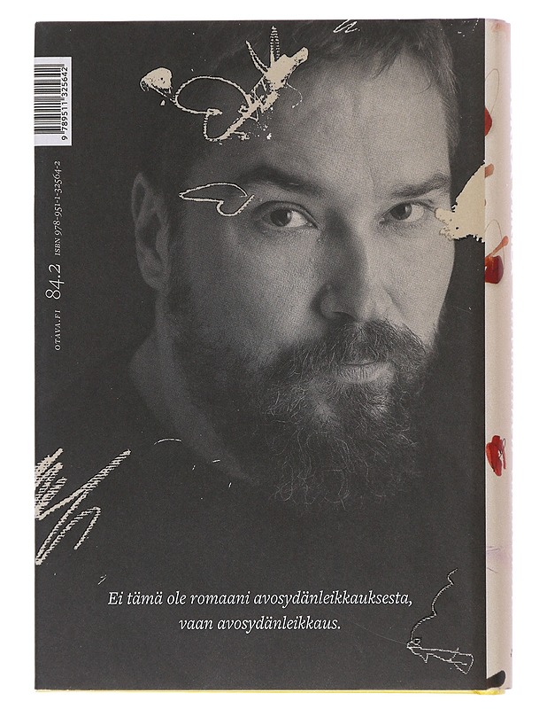 Taivaallinen vastaanotto - Jukka Viikilä - Romaanit ja novellit - 10105516500 - 1