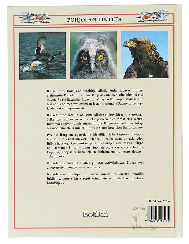 Katselemme lintuja - Berg, Øivind - Tietokirjat ja oppaat - 10105516696 - 1