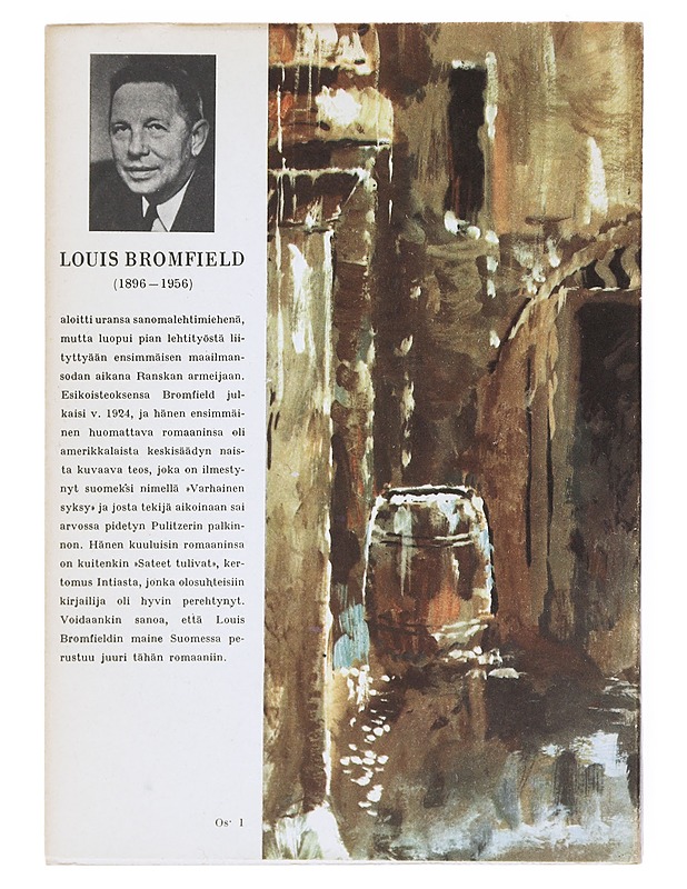 Sateet tulivat - Bromfield , Louis - Romaanit ja novellit - 10105516767 - 1