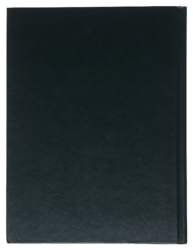 Walt Disney World - The Walt Disney Company - Matkaoppaat ja sanakirjat - 10105516837 - 1