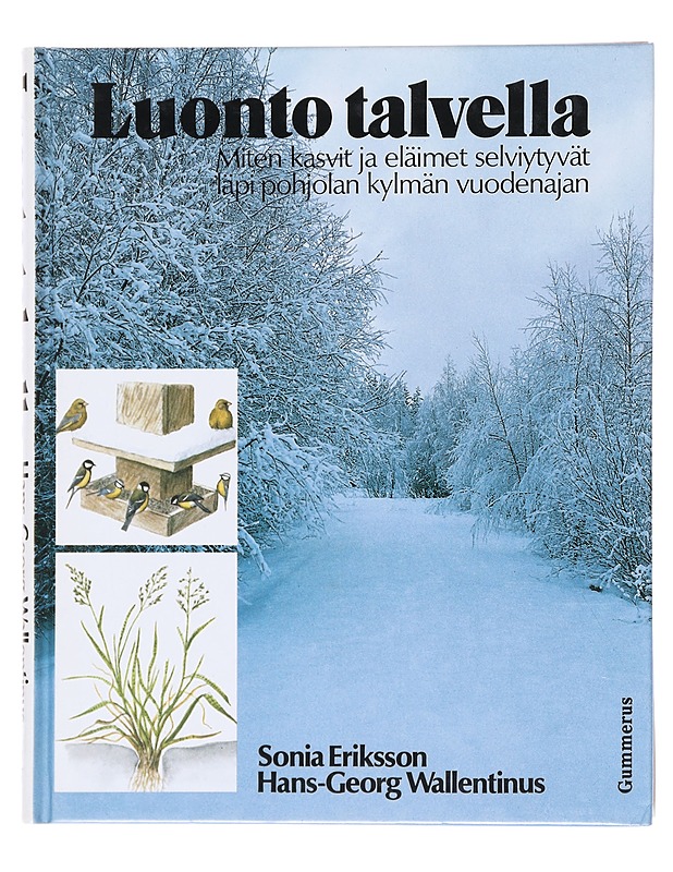 Luonto talvella : Miten kasvit ja eläimet selviytyvät läpi Pohjolan kylmän vuodenajan - Eriksson, Sonia - Tietokirjat ja oppaat - 10105517067 - 0
