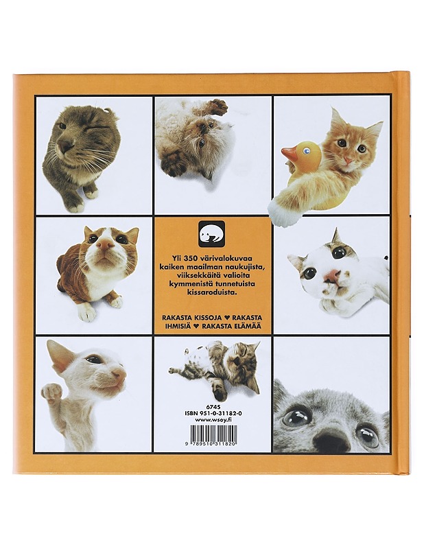 Kissa - Syvänperä, Tuula - Lemmikki- ja luontokirjat - 10105517094 - 1