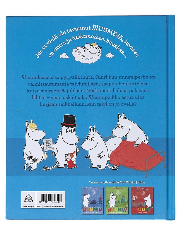 Muumi ja suuri jääjuhla - Dungworth, Richard - Lastenkirjat - 10105517134 - 1