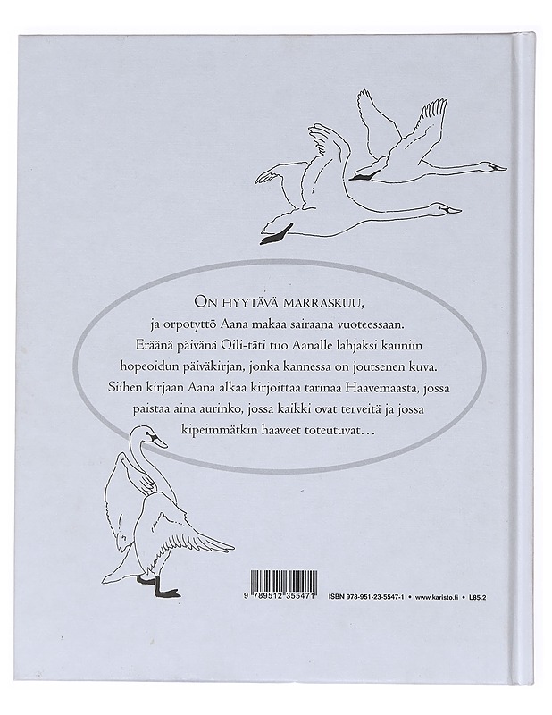 Haavemaa - Enna Airik - Lastenkirjat - 10105517359 - 1