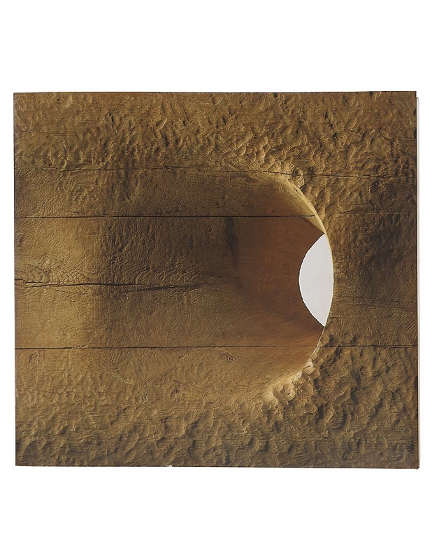 Puun Kieli - Taide- ja kulttuurikirjat - 10105517527 - 0