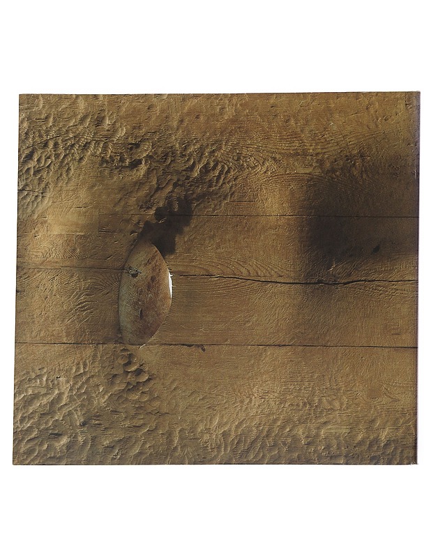 Puun Kieli - Taide- ja kulttuurikirjat - 10105517527 - 1