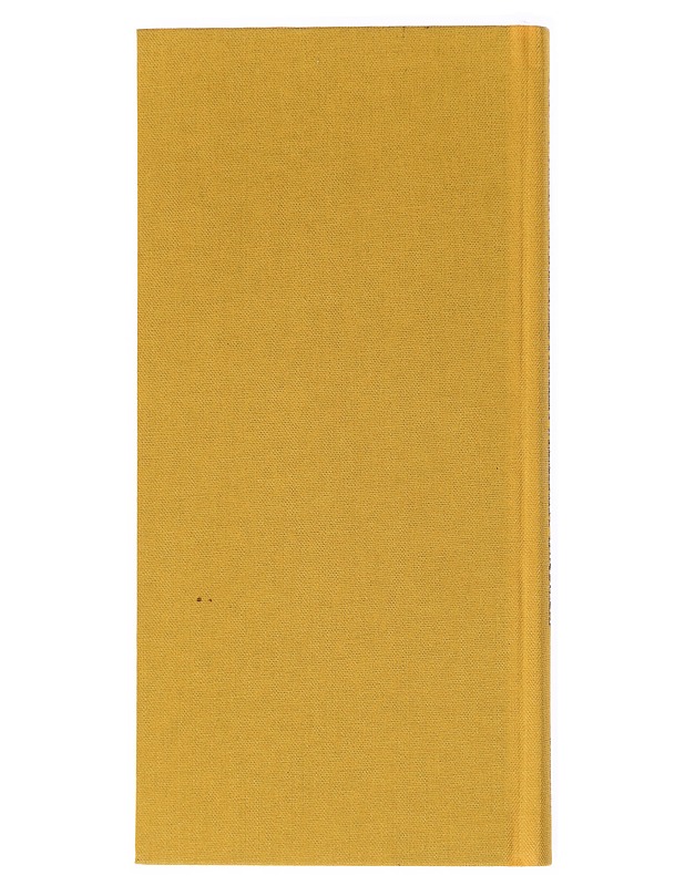 New Yorkin baarimestarien parhaat drinkit - Berk, Sally Ann - Tietokirjat ja oppaat - 10105517577 - 1