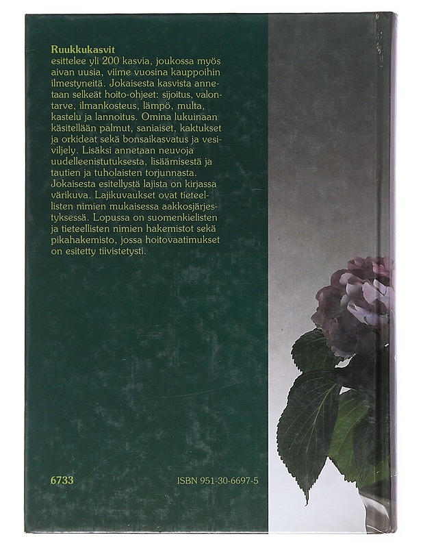 Ruukkukasvit - Löwenmo, Runo - Tietokirjat ja oppaat - 10105517682 - 1