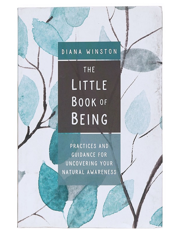 The Little Book Of Being - Diana Winston - Tietokirjat - 10105517832 - 0