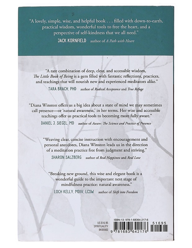 The Little Book Of Being - Diana Winston - Tietokirjat - 10105517832 - 1