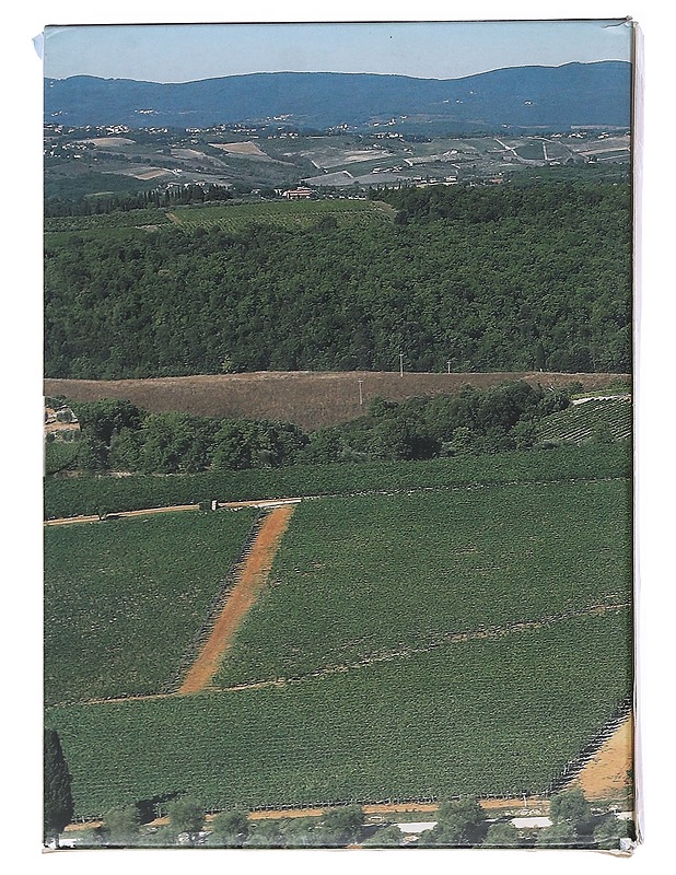 Storia regionale della vite e del vino in Italia: Toscana - Nanni, Paolo - Tietokirjat ja oppaat - 10105517886 - 2