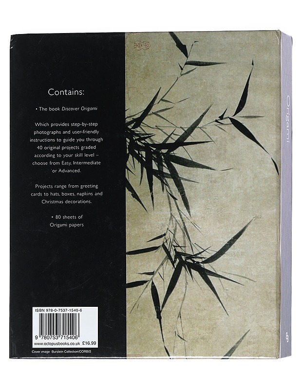 Discover Origami - Rick Beech - Harrastekirjat - 10105517974 - 1