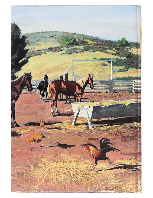 Fury ja yksinäisen petäjän salaisuus - William Fenton - Nuorten kirjat - 10105518076 - 1