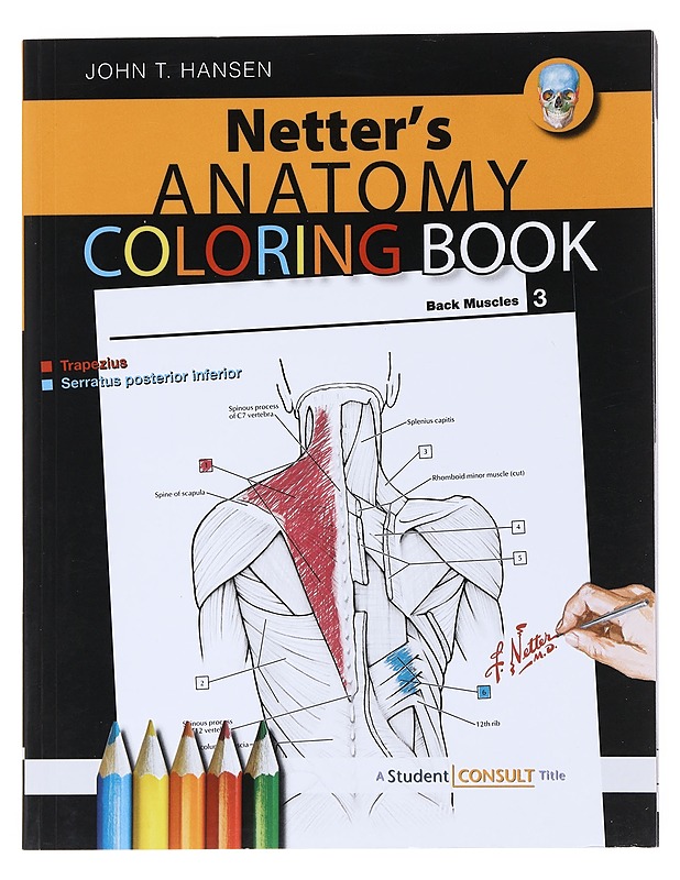 Netter's anatomy coloring book - Hansen, John T. - Tietokirjat ja oppaat - 10105518181 - 0