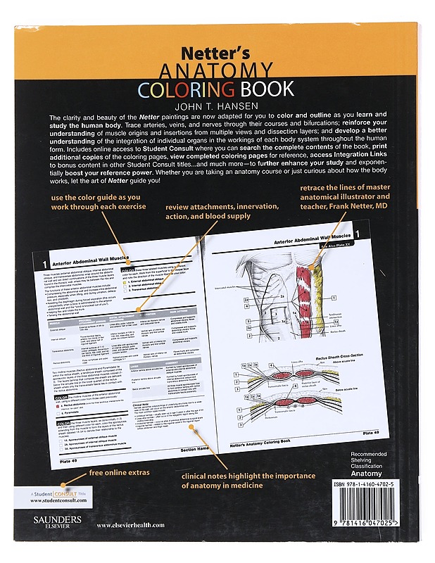 Netter's anatomy coloring book - Hansen, John T. - Tietokirjat ja oppaat - 10105518181 - 1