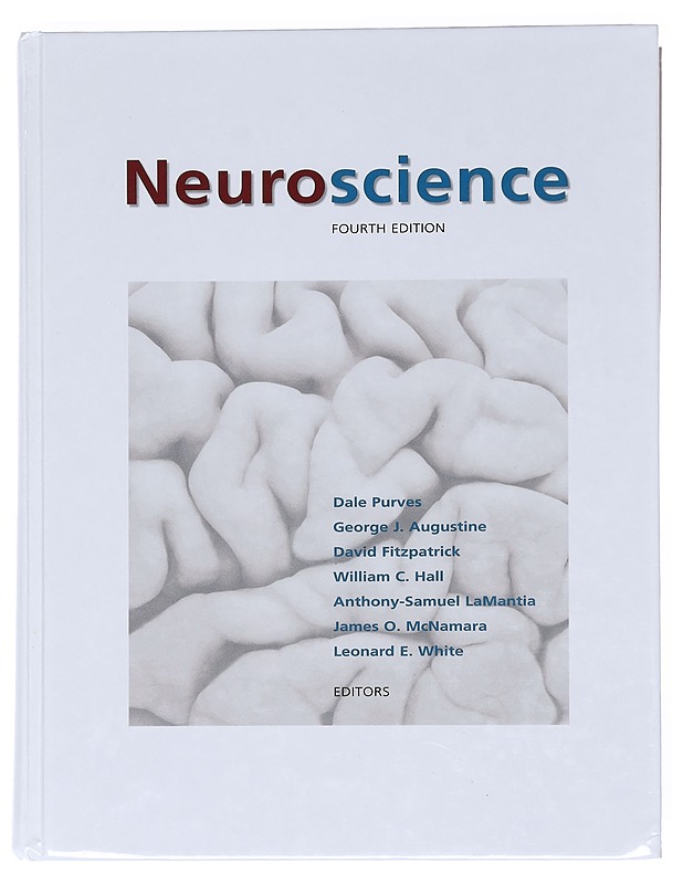 Neuroscience - Purves, Dale - Tietokirjat ja oppaat - 10105518189 - 0