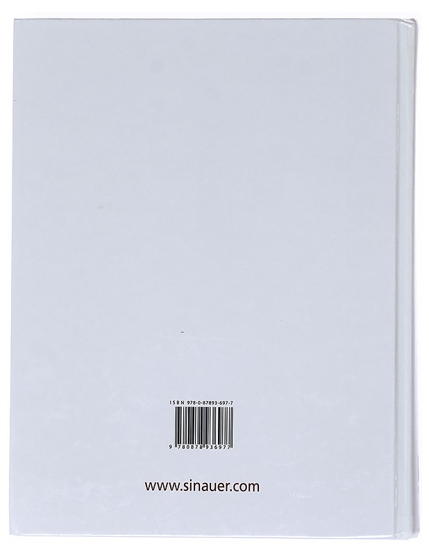 Neuroscience - Purves, Dale - Tietokirjat ja oppaat - 10105518189 - 1