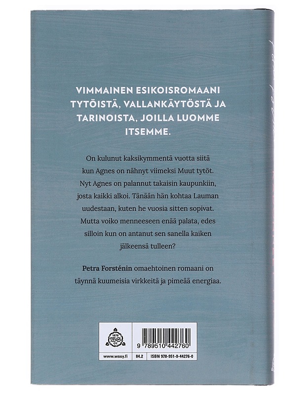 Kadonneet tytöt - Petra Forstén - Romaanit ja novellit - 10105518448 - 1