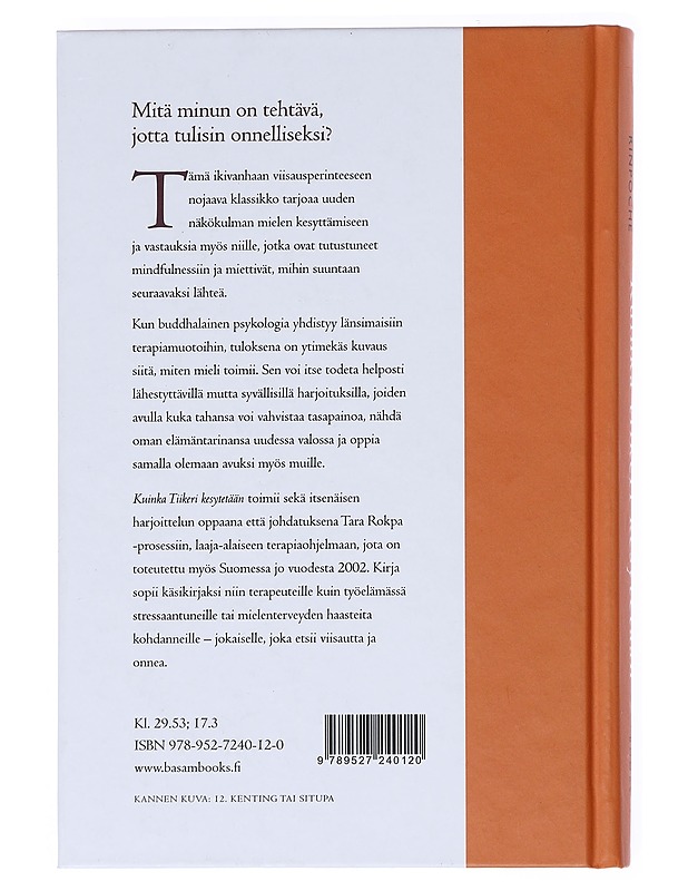 Kuinka tiikeri kesytetään : käytännön harjoituksia kypsempään mieleen - Akong Tulku, Rinpoche - Tietokirjat ja oppaat - 10105518455 - 1