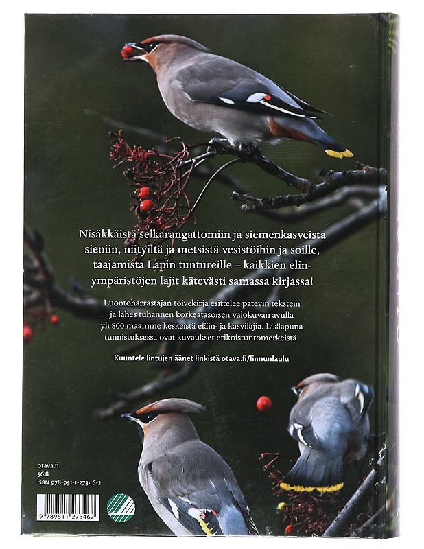 Suomen luonto / tunnistusopas - Laine, Lasse J. - Tietokirjat ja oppaat - 10105518497 - 1