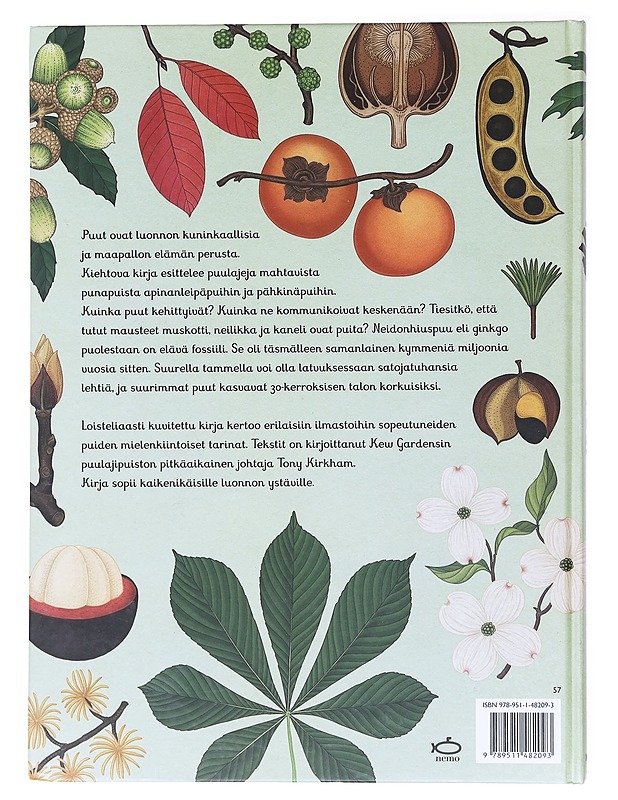 Puut - Scott, Katie - Lastenkirjat - 10105518905 - 1