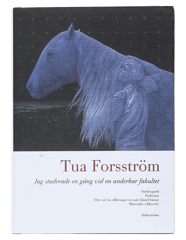 JAG STUDERADE EN GÅNG VID EN UNDERBAR FAKULTET - TUA FORSSTRÖM - Romaanit ja novellit - 10105519153 - 0